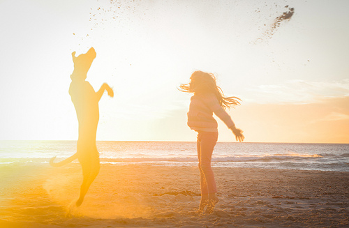 Wynand Strydom (www.flickr.com) CC BY 2.0 license