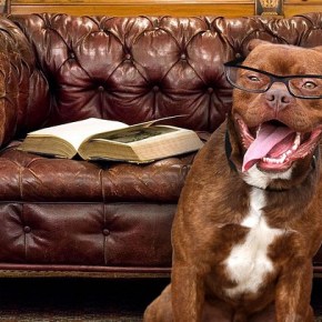 Is Academia Really in Such a&nbsp;Mess?